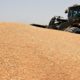 The United Nations has called a meeting to deal with the worsening global food crisis, exacerbated by the war in Ukraine as well as India's ban on wheat exports