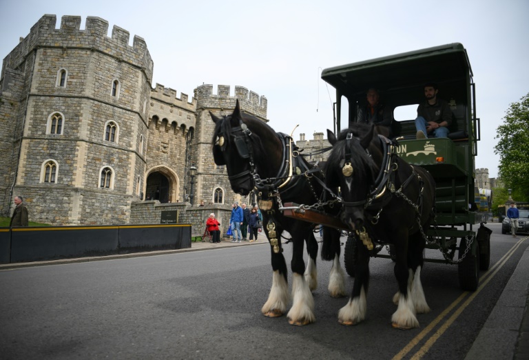 Draught horses Albert and Ivan have been delivering a specially brewed beer to pubs in Windsor for Queen Elizabeth II's Platinum Jubilee