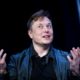 Musk has said he wants to make Twitter 'better than ever' by 'defeating the spam bots and authenticating all humans'