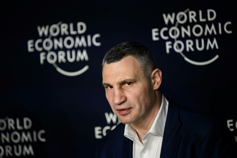 The Ukrainian delegation included the star power of Kyiv mayor, Vitali Klitschko, and his brother Wladimir, the former heavyweight boxers