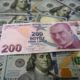 Many economists blame Erdogan's unconventional economic strategies