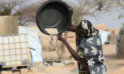 Every grain counts: A woman at a displaced persons' camp in Ouallam, Niger, pours food from a container