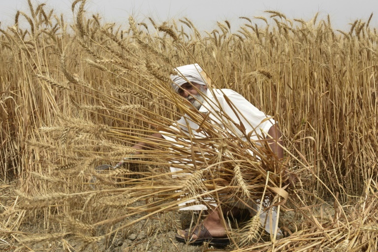 India recorded its warmest March on record -- blamed on climate change -- and in recent weeks has seen a scorching heatwave with temperatures upwards of 45 degrees Celsius (113 Fahrenheit)