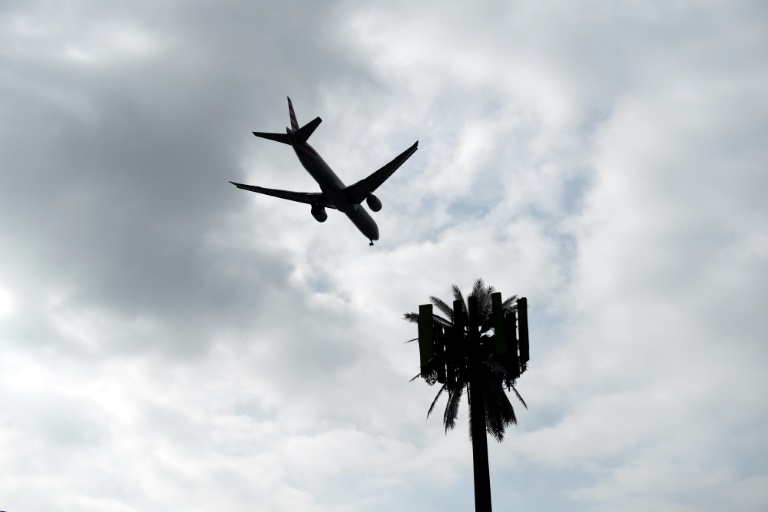An American Airlines plane flies past a cellular tower disguised as a palm tree as it lands at Los Angeles International Airport (LAX) in California in January 2022