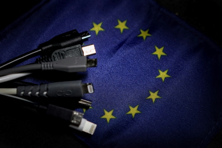 EU member states and MEPs believe a standard cable for all devices will cut back on electronic waste, but Apple argues a one-size-fits-all charger would slow innovation and create more pollution