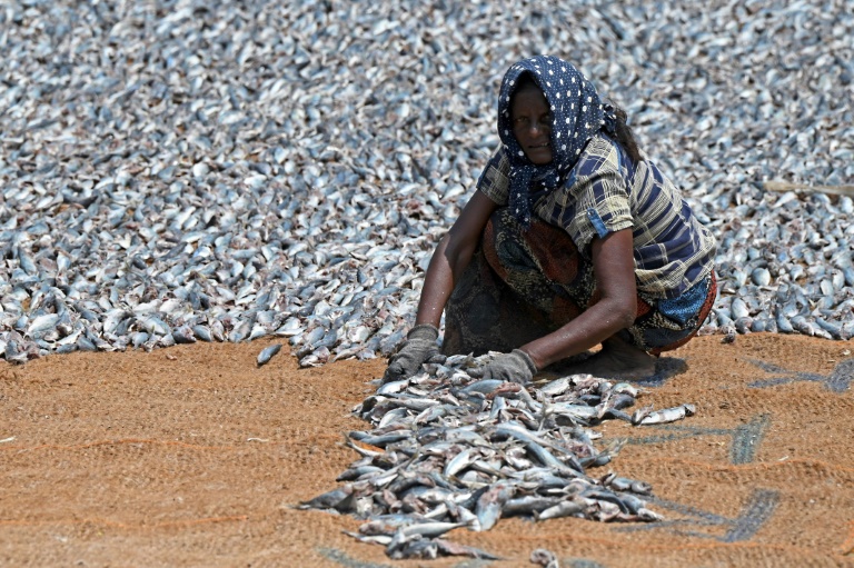 Global fisheries subsidies are estimated at between $14 billion and $54 billion a year, according to the WTO