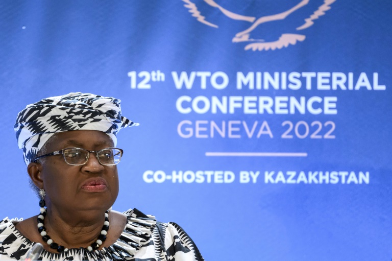 WTO chief Ngozi Okonjo-Iweala has staked her leadership on breathing new life into the sclerotic organisation