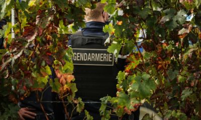 Bordeaux wines have become a major target of thieves and traffickers, who seek to profit off its worldwide recognition.