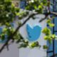 Twitter is challenging the Indian government's orders to block content on its social media site in court, local media reported Wednesday