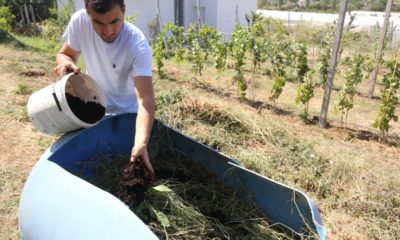 Albanian farmer Alban Cakalli can't afford chemical-based fertilisers imported from abroad