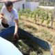Albanian farmer Alban Cakalli can't afford chemical-based fertilisers imported from abroad