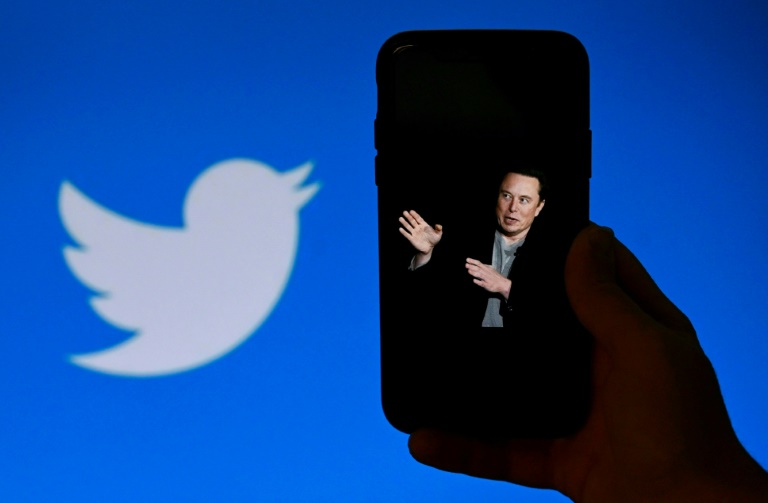 Twitter's famous blue checkmark is a helpful tool to show the platform's user accounts are verified and authentic, but it will soon come at a price: $8 per month, says the company's new boss Elon Musk