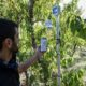A new generation of Greek farmers see high technology as key to their ailing sector