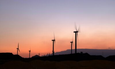 Wind turbines on the Red Sea coast of Egypt, which has agreed on a large new wind energy project with the UAE