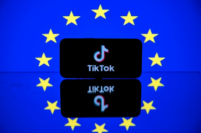 Tech giants Meta and TikTok are contesting the scope of an EU law that from March will set new rules on competition in the digital marketplace