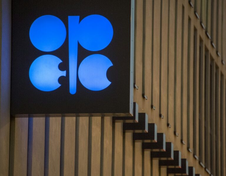 The expansion of OPEC has proved to be a double-edged sword for the cartel as it means decision-making has become more difficult, according to Swissquote analyst Ipek Ozkardeskaya