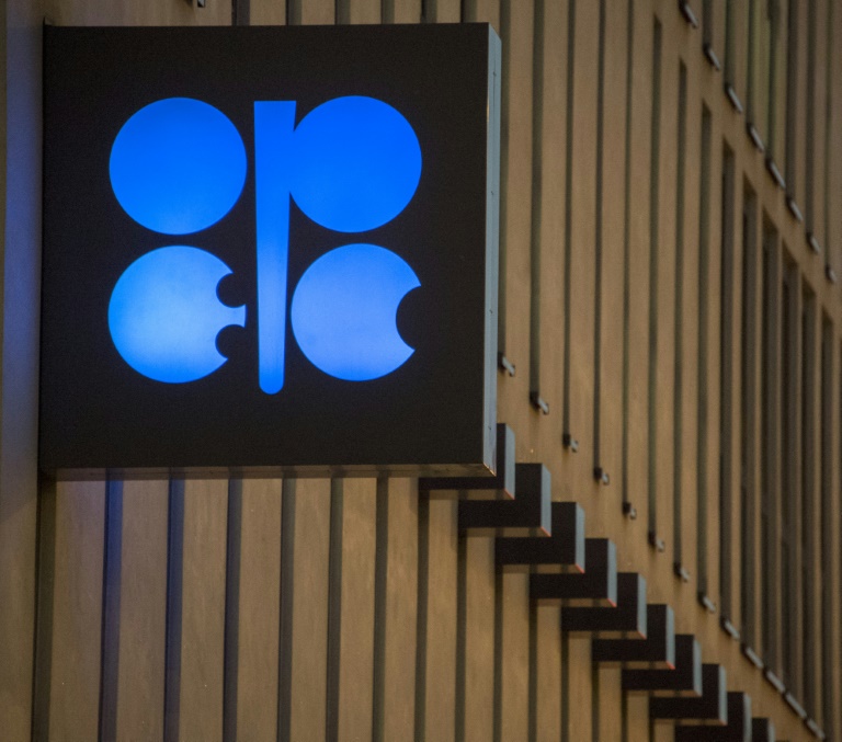 The expansion of OPEC has proved to be a double-edged sword for the cartel as it means decision-making has become more difficult, according to Swissquote analyst Ipek Ozkardeskaya
