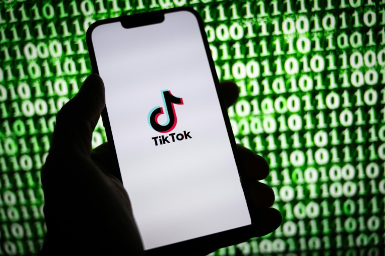 Indonesia is one of the biggest e-commerce markets in the world for TikTok